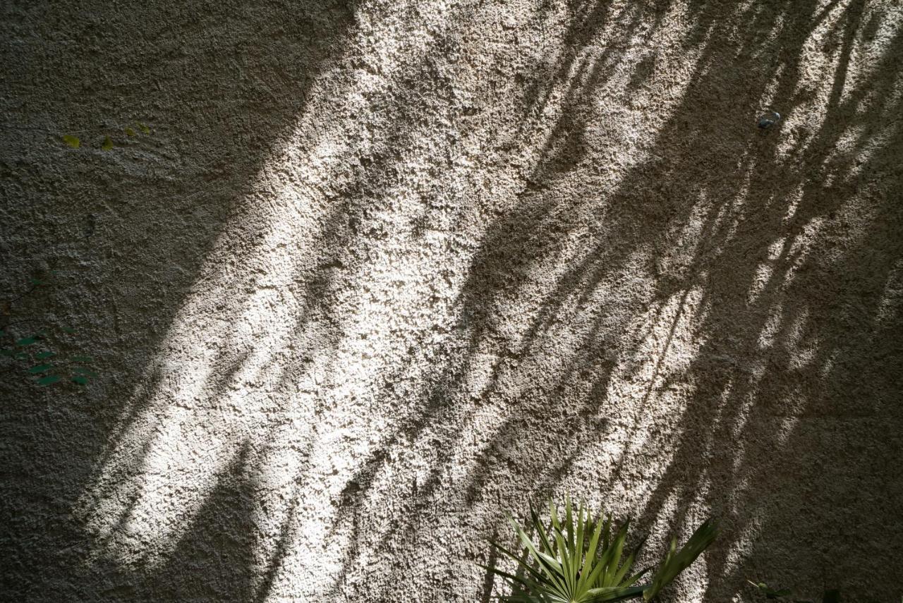 Teva Tulum, Aldea Zama Lägenhet Exteriör bild