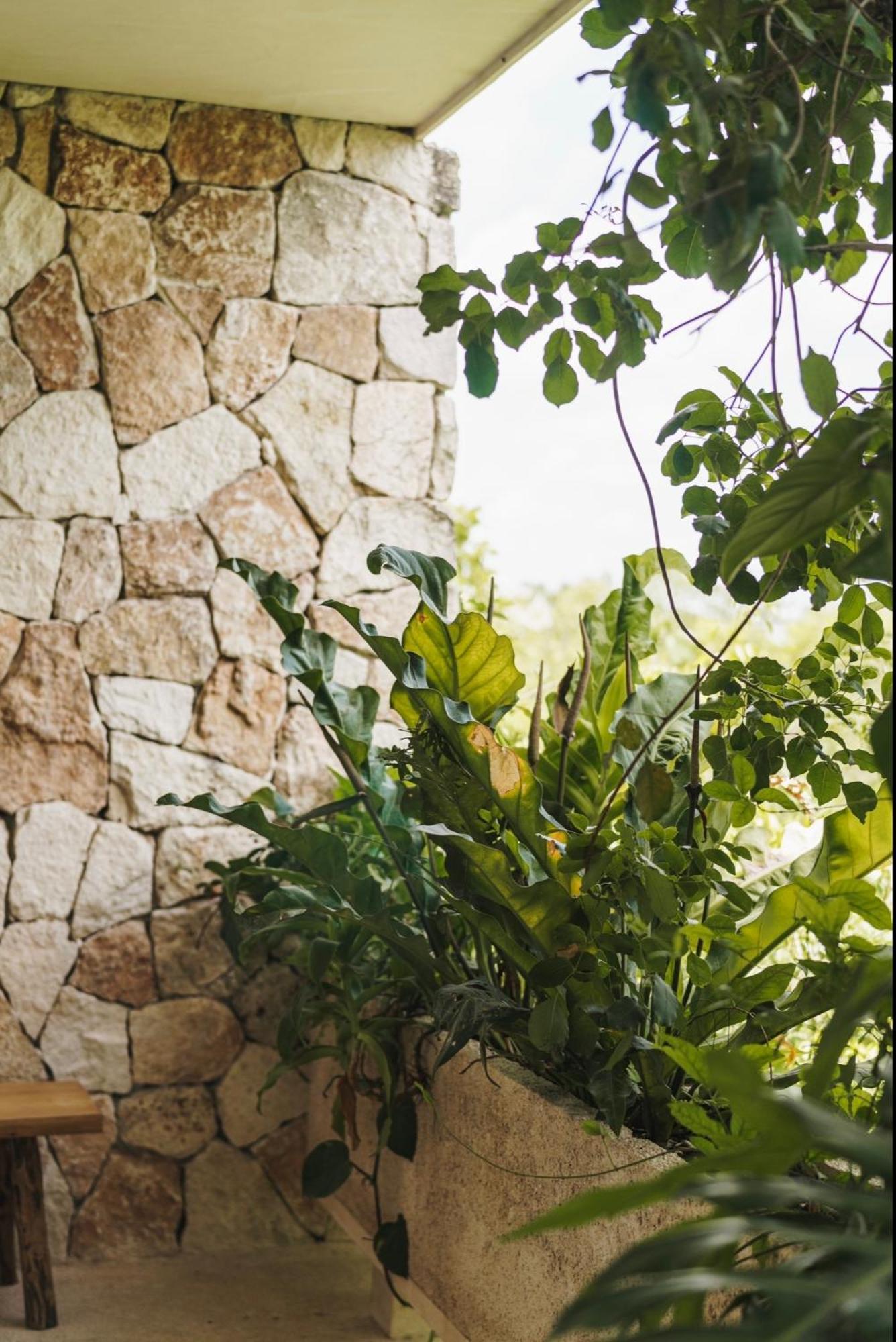 Teva Tulum, Aldea Zama Lägenhet Exteriör bild