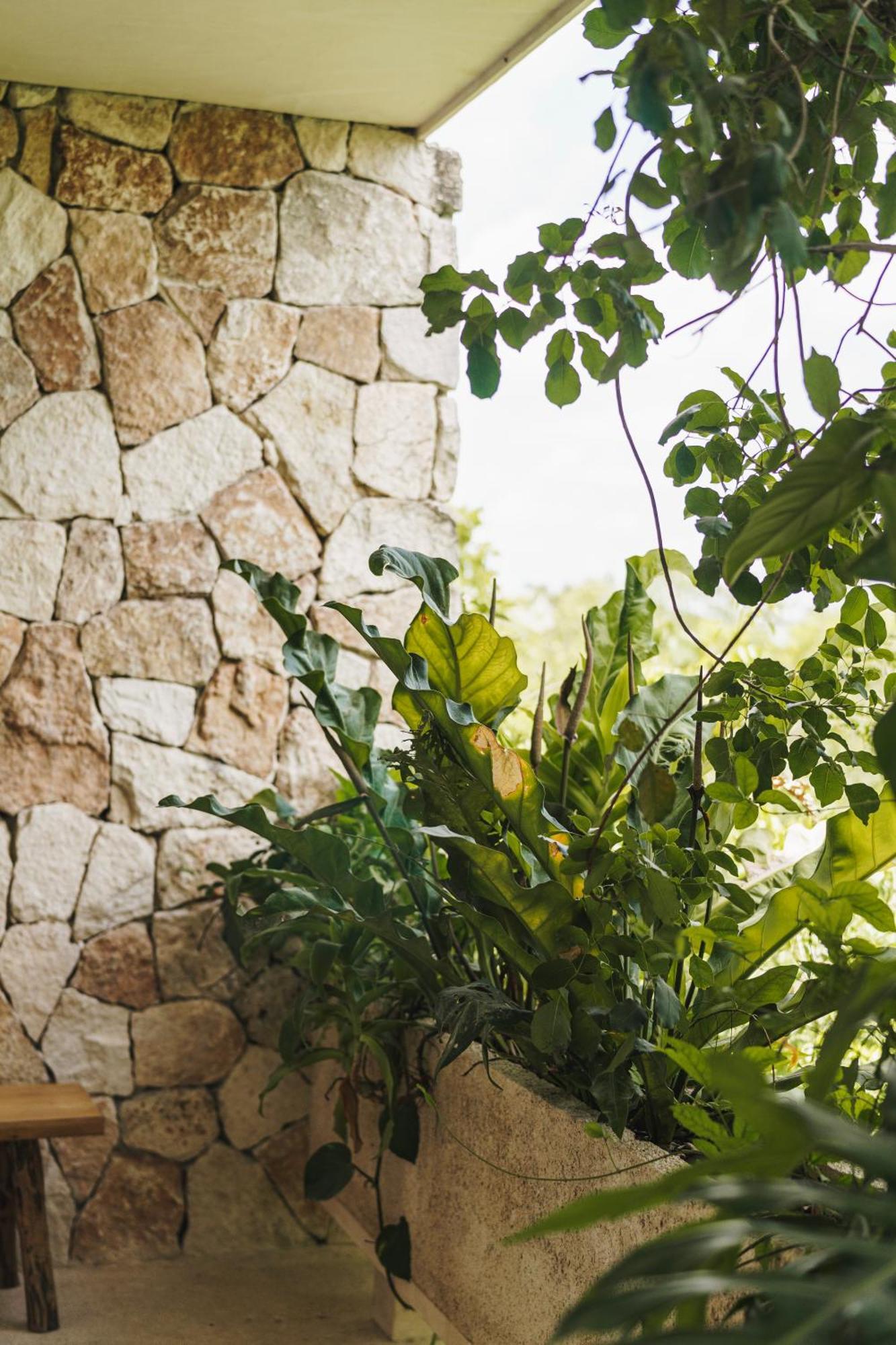 Teva Tulum, Aldea Zama Lägenhet Exteriör bild